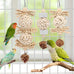 Wontee natural sola ball parrot foraging hanging toys, safe for cockatiels, conures, parakeets, budgies, senegal, 3 pack