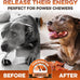 brutus-and-barnaby-whole-pig-ears-dog-chews-12ct-all-natural-slow-cooked