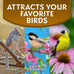 Morning Song 5.5-Pound Bag Sunflower Hearts & Chips Wild Bird Food, No Mess Sunflower Seeds for Birds