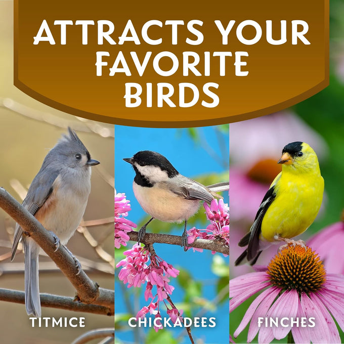 Morning Song 5.5-Pound Bag Sunflower Hearts & Chips Wild Bird Food, No Mess Sunflower Seeds for Birds