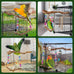 Grape Wood Bird Swing Toy for Small to Medium Sized Birds, U Shape Hangable with Chains, Natural Perch for Budgerigars, Parakeets