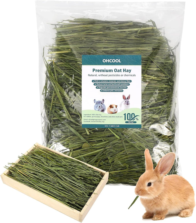 Premium dust-free natural oat hay for pets - rabbits, guinea pigs, chinchillas, hamsters & gerbils - 100% chemical-free, organic
