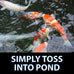 CrystalClear Staple Pond Fish Food 2.2 pound bag, 32% protein floating pellets for koi & goldfish