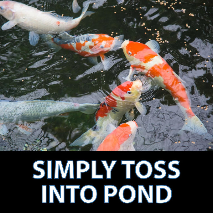 CrystalClear Staple Pond Fish Food 2.2 pound bag, 32% protein floating pellets for koi & goldfish