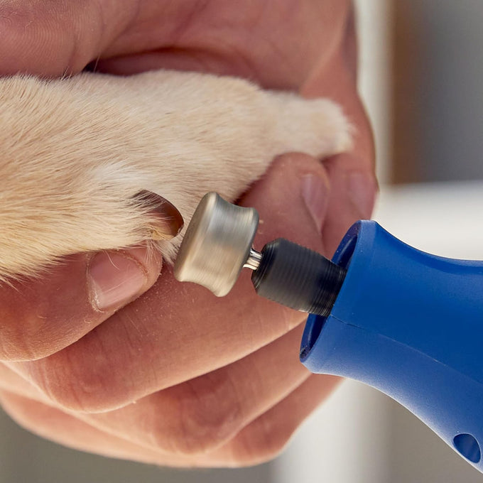 Dremel 416HP diamond-coated rotary nail grinder bit for dog nail grooming with precision control