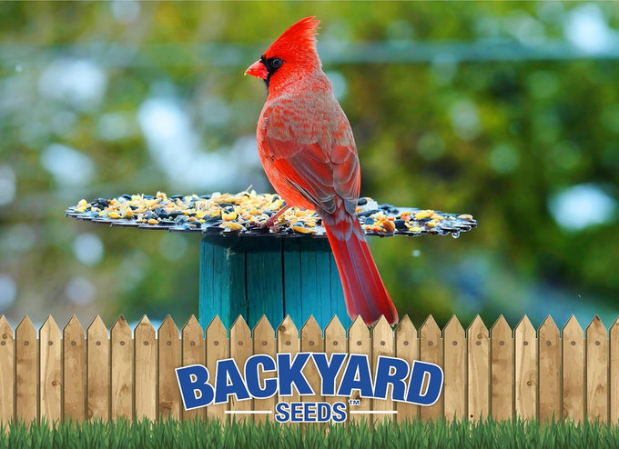 Backyard Seeds supreme wild bird food blend, 40 pounds, large bulk bag, USA made, high-energy formula