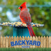 Backyard Seeds supreme wild bird food blend, 40 pounds, large bulk bag, USA made, high-energy formula