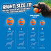 Chuckit! Interactive Dog Toys, High-Bounce Fetch Ball, Ultra and Rugged Balls, Size Medium, 2.5-inch Diameter, Set of 3