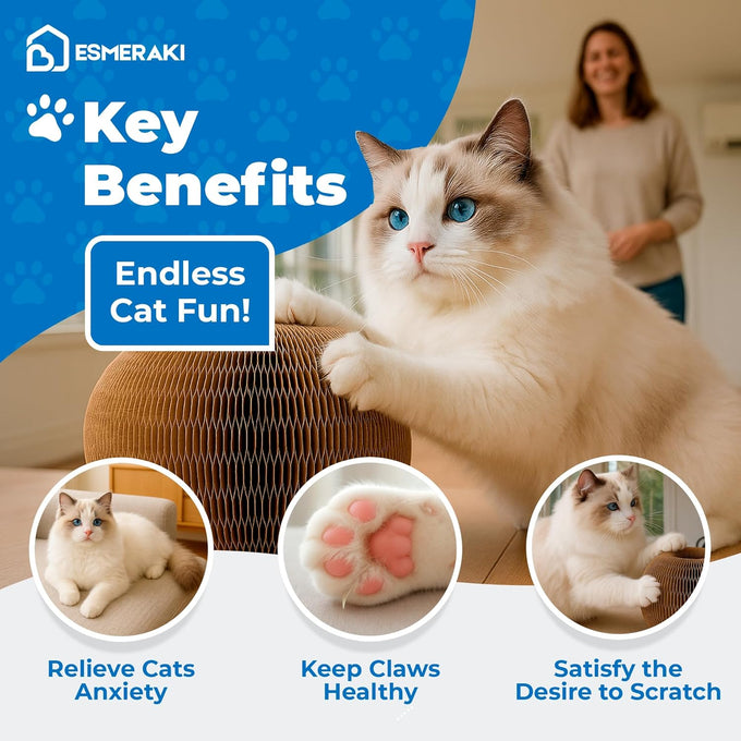 flexible cat scratcher bundle with built-in ball track - corrugated cardboard, magnetic design, foldable space saving for indoor cats