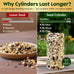 Woodpecker bird seed cylinders with hole – premium woodpecker food blend, USA made, 4" x 7.75"