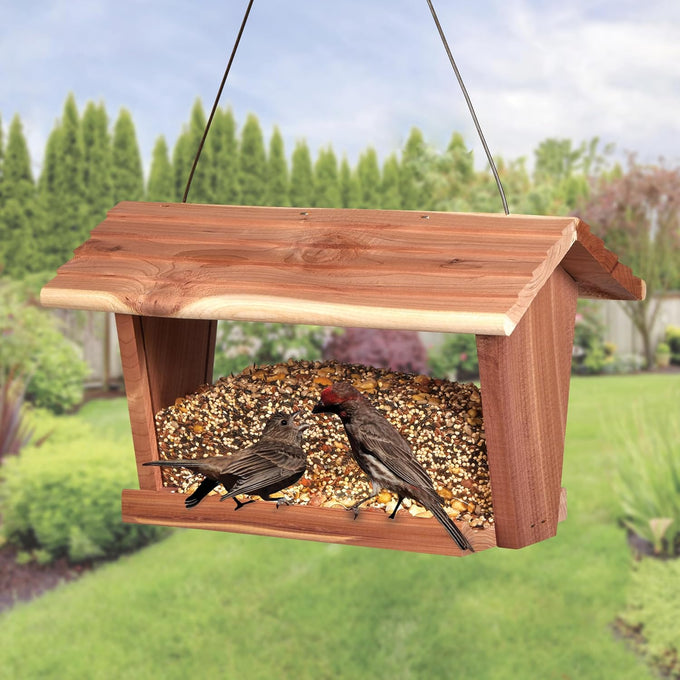 kaytee wild bird food, summer nesting seed blend, 8 lb, calcium-rich oyster shells, high protein nuts