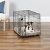 MidWest Homes for Pets 30-inch iCrate for medium breeds, 21-40 lbs, durable and easy to assemble