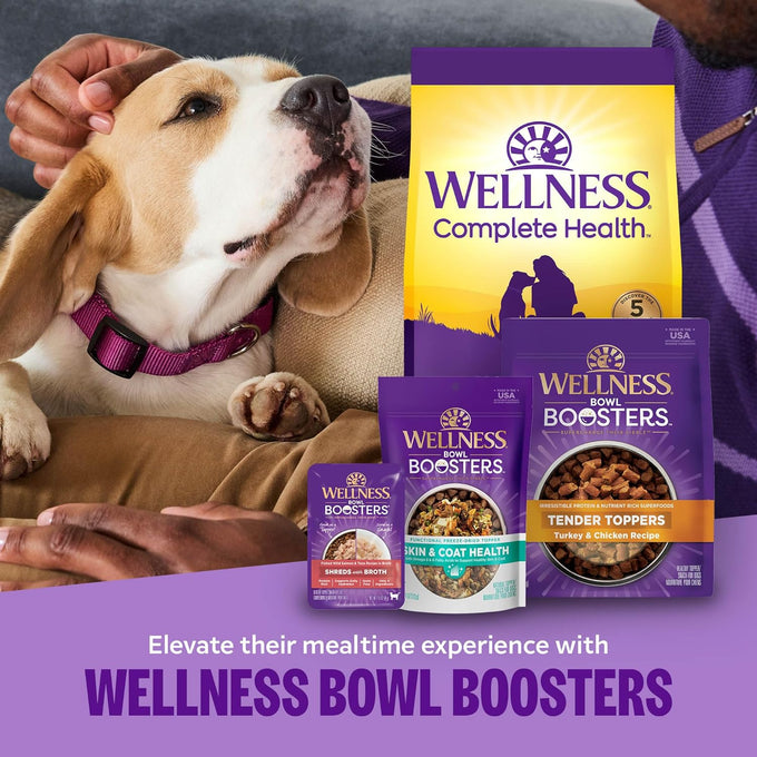 Wellness Complete Health Small Breed Puppy Dry Dog Food, Wholesome Grain Kibble, Natural, Turkey, Oatmeal, and Salmon Recipe, 4 lb Bag