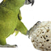Bonka Bird Toys 1214 Pk3 all-natural sola atta balls 3-pack 2" diameter chew toys for parrots parakeets cockatiels safe and small pets