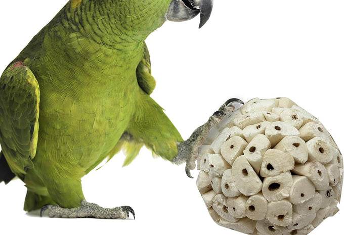 Bonka Bird Toys 1214 Pk3 all-natural sola atta balls 3-pack 2" diameter chew toys for parrots parakeets cockatiels safe and small pets