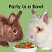 Kaytee Fiesta Rabbit Food, 3.5 pounds, nutritious and fun blend for dental health and digestion