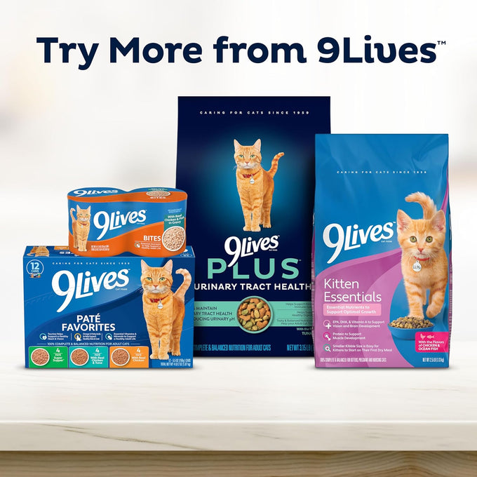 9Lives Indoor 20 lb Complete Dry Chicken & Salmon Cat Food - Lean Protein, Fiber, Vitamins, Minerals
