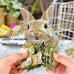 timothy hay rabbit chew toys for guinea pigs hamsters chinchillas gerbils teeth grinding 12pcs