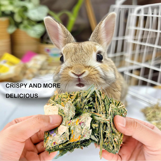 timothy hay rabbit chew toys for guinea pigs hamsters chinchillas gerbils teeth grinding 12pcs
