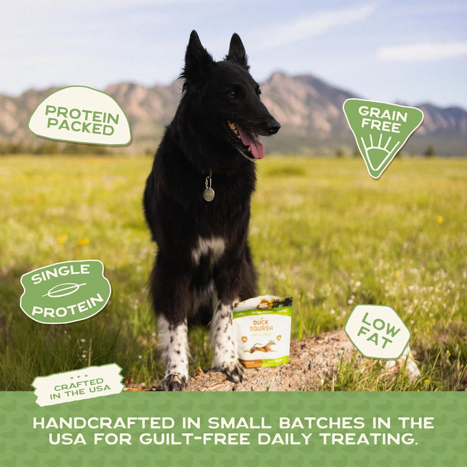 Smart Cookie All Natural Soft Dog Treats: Duck & Squash Grain Free Training Treats, Human-Grade, Made in USA, 5oz Bag