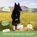 Smart Cookie All Natural Soft Dog Treats: Duck & Squash Grain Free Training Treats, Human-Grade, Made in USA, 5oz Bag