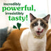 Feline Greenies cat dental treats, adult natural, 21 oz tub, veterinarian-recommended, catnip flavor