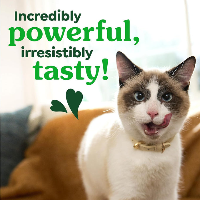 Feline Greenies cat dental treats, adult natural, 21 oz tub, veterinarian-recommended, catnip flavor