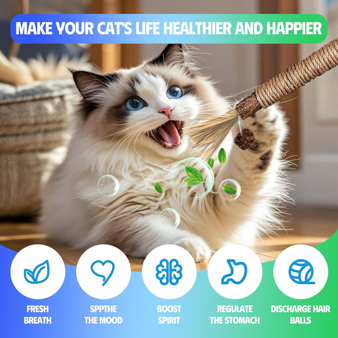GBSYU 6Pcs Silvervine Cat Chew Rope & Sticks, Refillable Catnip Bag for Teeth Cleaning and Stress Relief