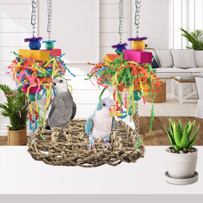 katumo seagrass bird swing mat with stainless chains and colorful toys for small parrots