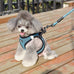 Matilor dog step-in breathable mesh vest harness for small medium dogs