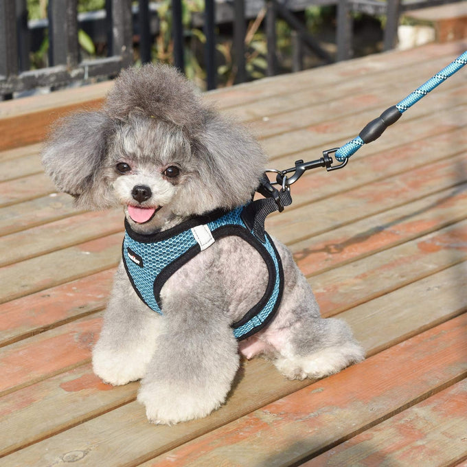 Matilor dog step-in breathable mesh vest harness for small medium dogs