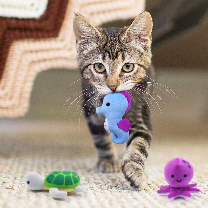 catnip toys for indoor cats kitten interactive lobster octopus crab starfish seahorse sea turtle set of 6