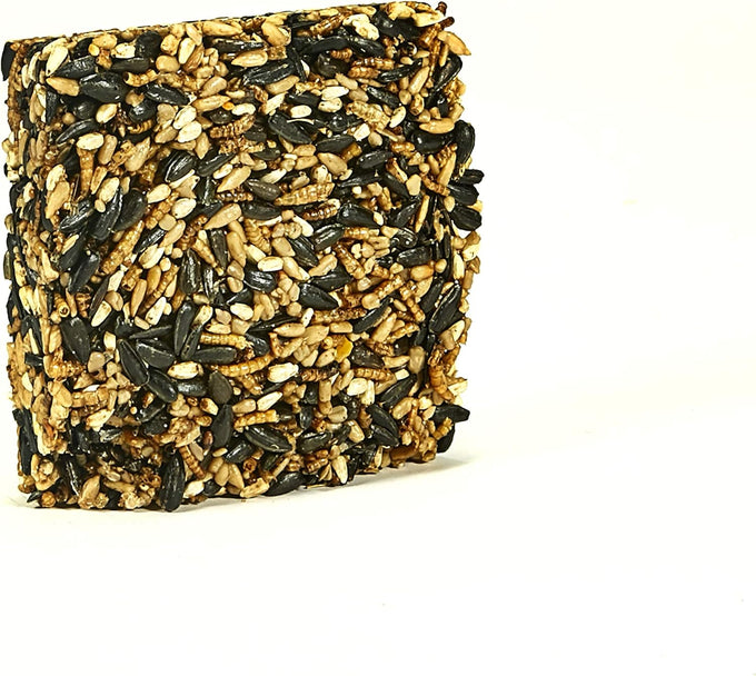 Kaytee 6-Ounce Wild Bird Seed & Mealworm Seed Treat Cake, Bluebird, Chickadee, Woodpecker, High-Protein Food