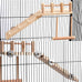 Wooden bird perches platform swing for small birds with climbing ladder, parakeet cage accessories