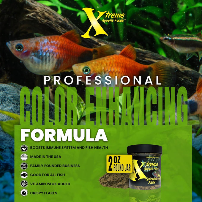 Xtreme Spirulina Flakes for Tropical and Marine Herbivorous Fish, Enhanced Health and Vibrant Colors, USA Farm Grown, Cichlids, Barbs, Tetras, Guppies (2oz)