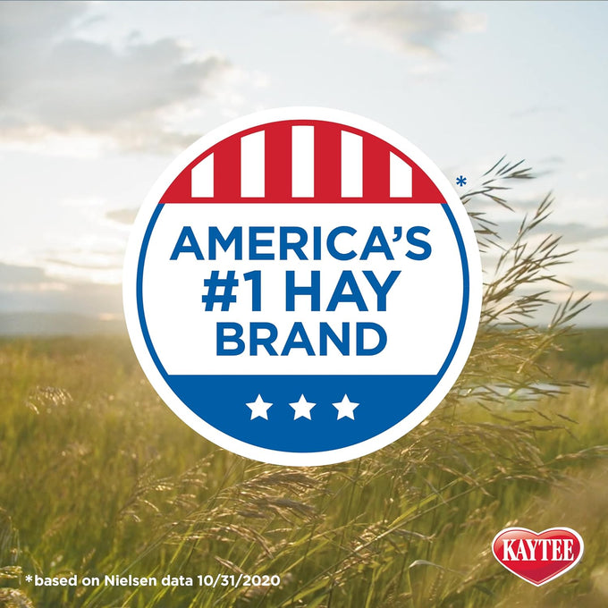 Kaytee All Natural Timothy Hay Wild Meadow Hay Blend for Small Animals, 24 Ounce, America's #1 Hay Brand