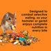 Kaytee Fiesta Hamster and Gerbil Food, 4.5 Pounds, Nutritious and Fun Blend for Dental Health and Digestion