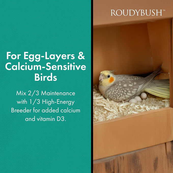 RoudyBush daily maintenance bird food, mini, 10-pound, parrot pellets for conures, lovebirds, and parakeets