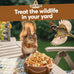 Raw shelled peanuts for squirrels and wildlife, unsalted and grown in the USA, 25 lb bulk