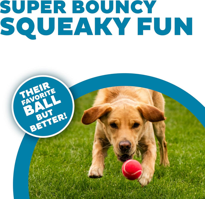 Outward Hound Squeaker Ballz, medium tennis balls, 2.5", 4-pack for dogs under 50 lbs, interactive dog toys