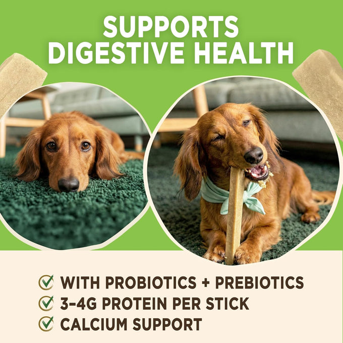 EcoKind Peanut Butter Yogurt Dog Chews - Probiotics, Lactose Free, Grain Free, Natural Dog Treats for All Breeds, USA Made, 25 Chews