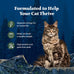 Blue Buffalo Wilderness Duck Paté Grain-Free Wet Cat Food for Adults, 24 x 3-oz Cans