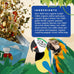 Bird Street Bistro parrot food with natural grains, legumes, and non-gmo fruits for parakeets and cockatiels