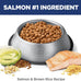 Hill's Science Diet Puppy Sensitive Stomach & Skin Dry Dog Food