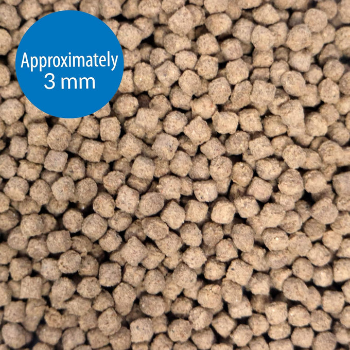 API Bottom Feeder Pellets with Squid Fish Food 4.0-Ounce Container for Optimal Nutrition