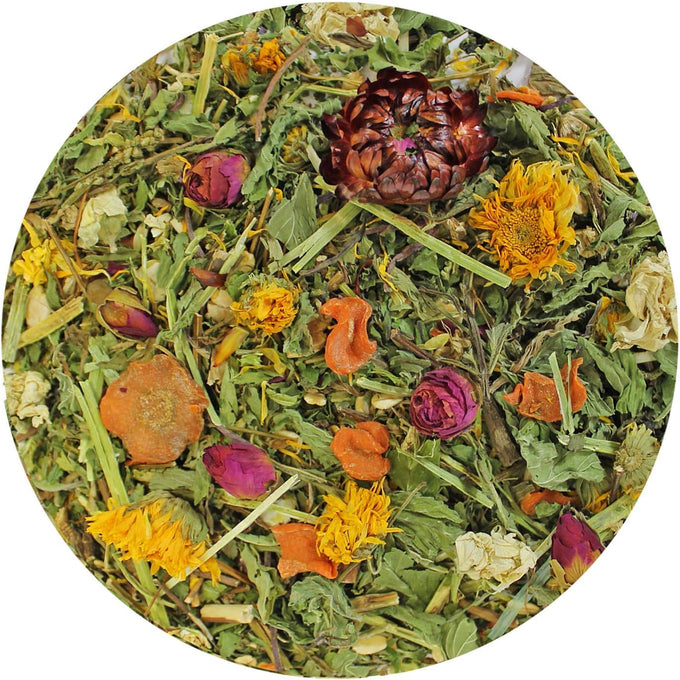 Exotic Nutrition Pasture Plus+ high-fiber dried flower & herb treats for herbivorous small pets like guinea pigs, rabbits, and chinchillas