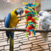 seenelling 3pcs large multicolored wooden parrot cage chewing toys for macaws african greys cockatoos