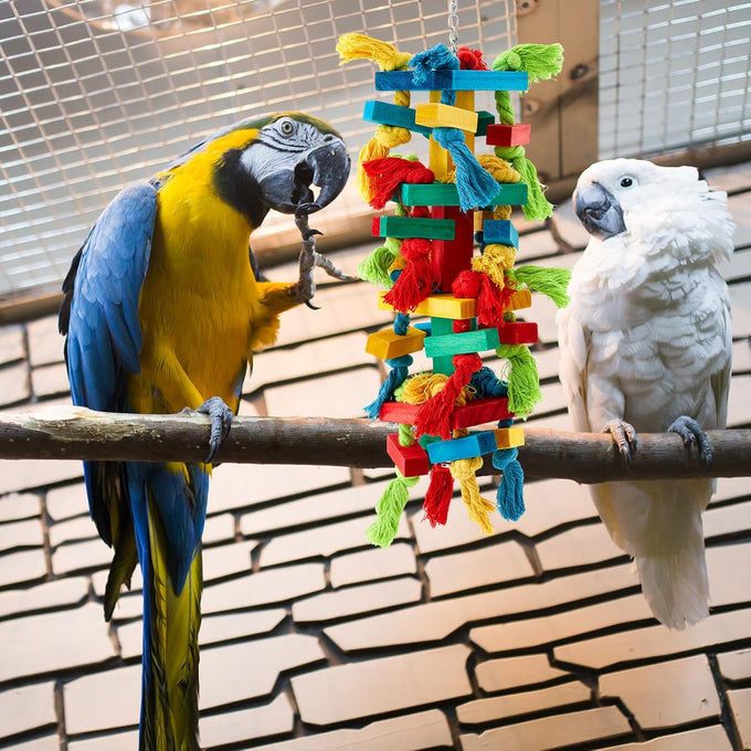 seenelling 3pcs large multicolored wooden parrot cage chewing toys for macaws african greys cockatoos