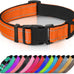 Joytale Reflective Dog Collar with Soft Neoprene Padded, Metal D-Ring, Adjustable for Large Dogs in Teal