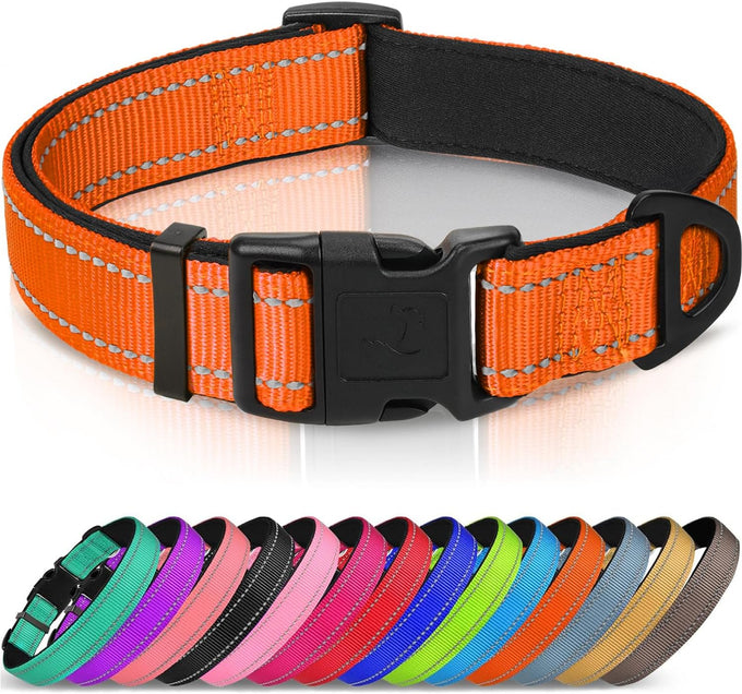 Joytale Reflective Dog Collar with Soft Neoprene Padded, Metal D-Ring, Adjustable for Large Dogs in Teal
